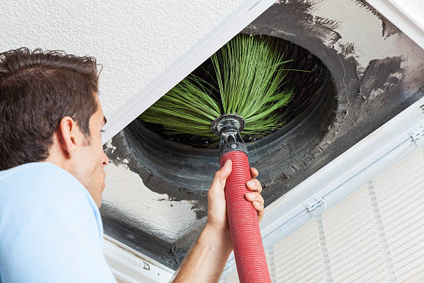 Best Mold and Mildew Removal from Ducts in USA